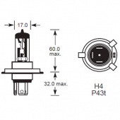 H4 P43t: Halogen H4 P43t Base from £0.01 each